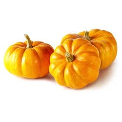 Mini Pumpkin