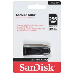 SanDisk USB 3.0 256 GB Flash Drive 1 ea