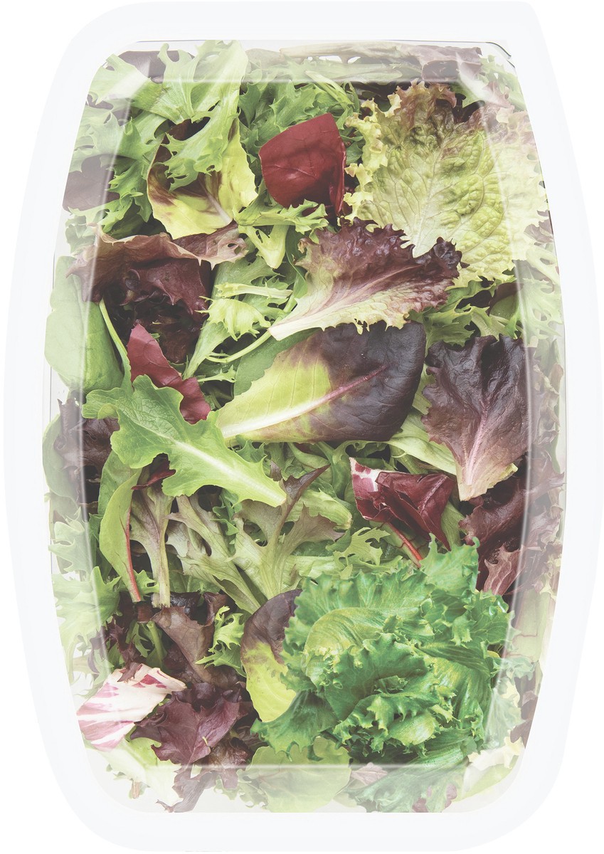 slide 5 of 7, Earthbound Farm Spring Mix, 8 oz