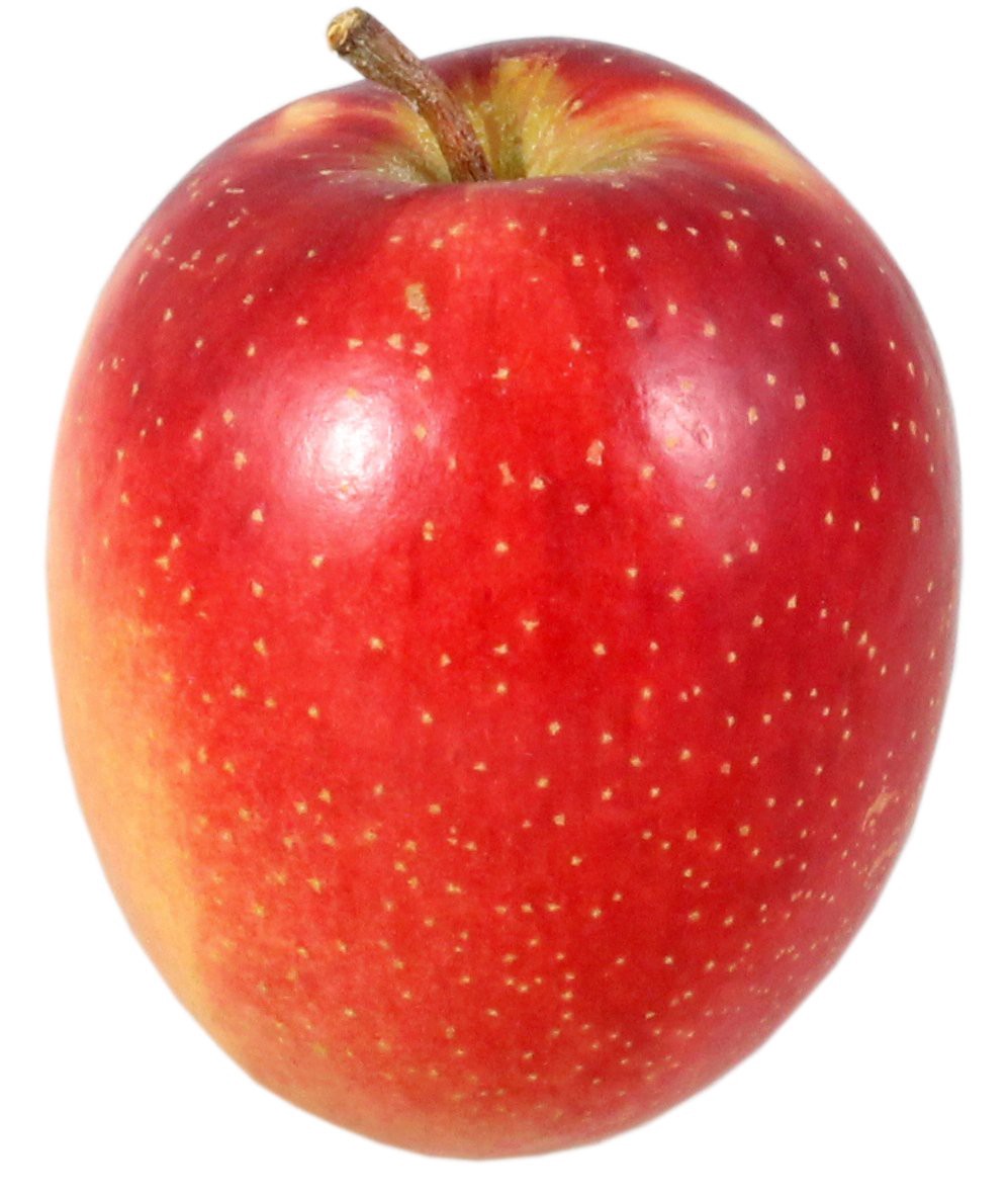 slide 1 of 1, Queen Apples, 1 ct