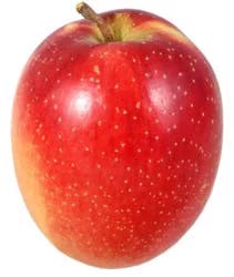 Queen Apples
