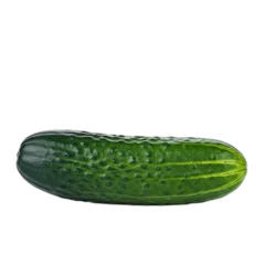 English Seedless Cucumber