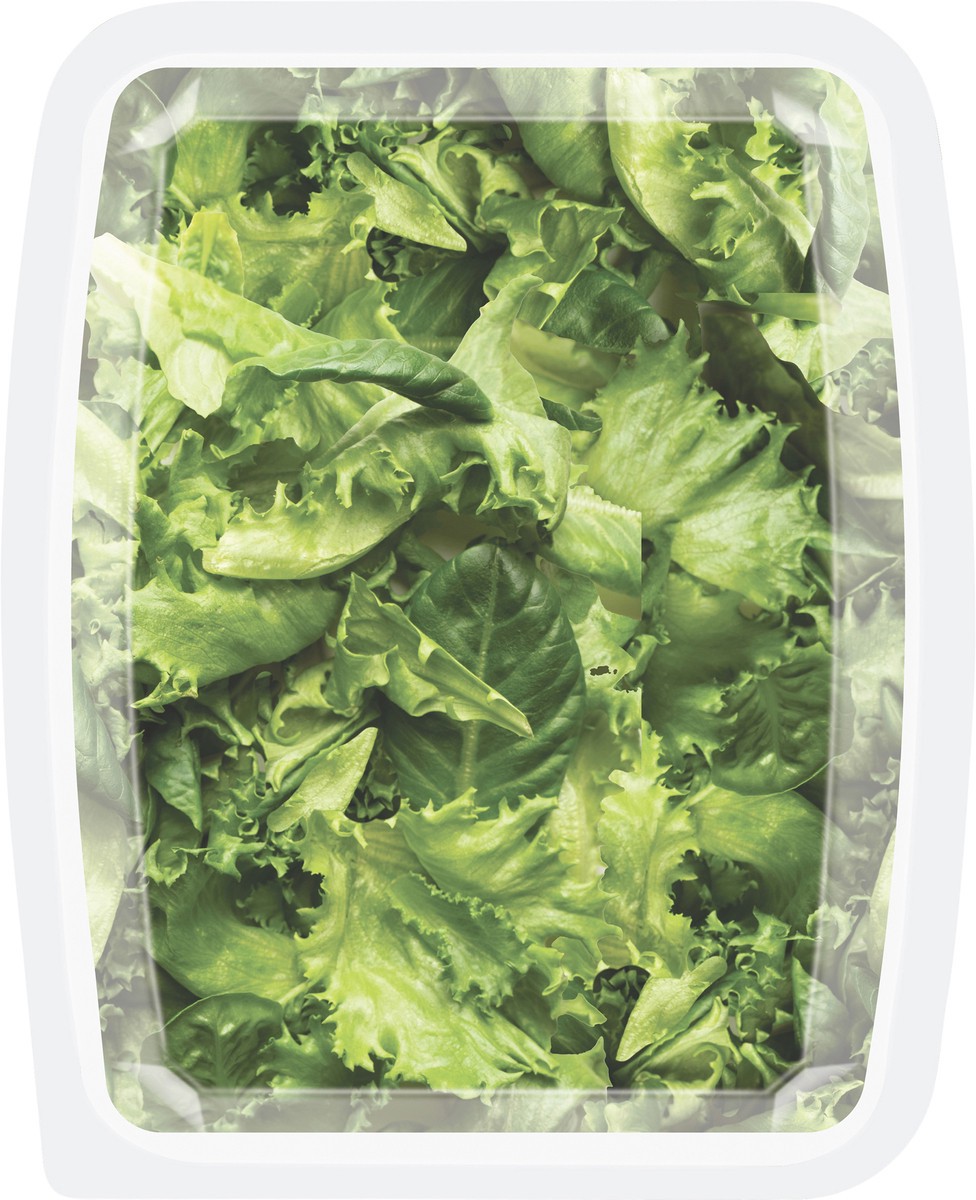 slide 4 of 7, Earthbound Farm Romaine Crunch, 4 oz