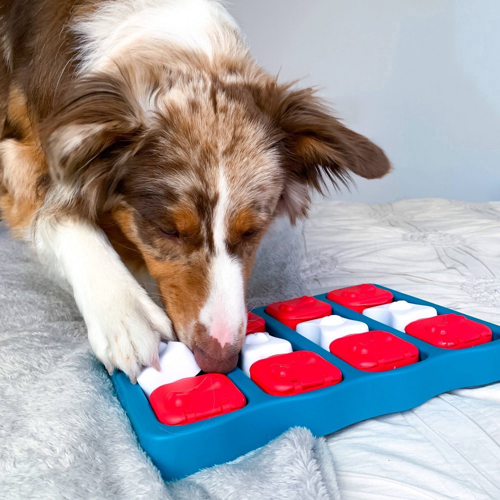 slide 3 of 7, Outward Hound Nina Ottosson Brick Interactive Puzzle Game Dog Toy, 1 ct