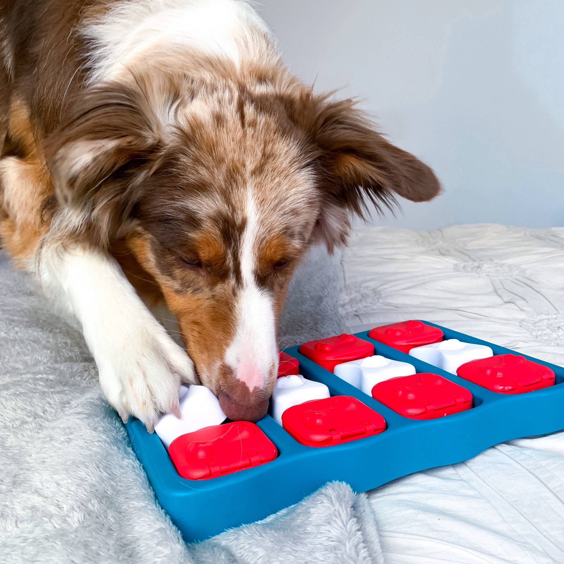 slide 2 of 7, Outward Hound Nina Ottosson Brick Interactive Puzzle Game Dog Toy, 1 ct