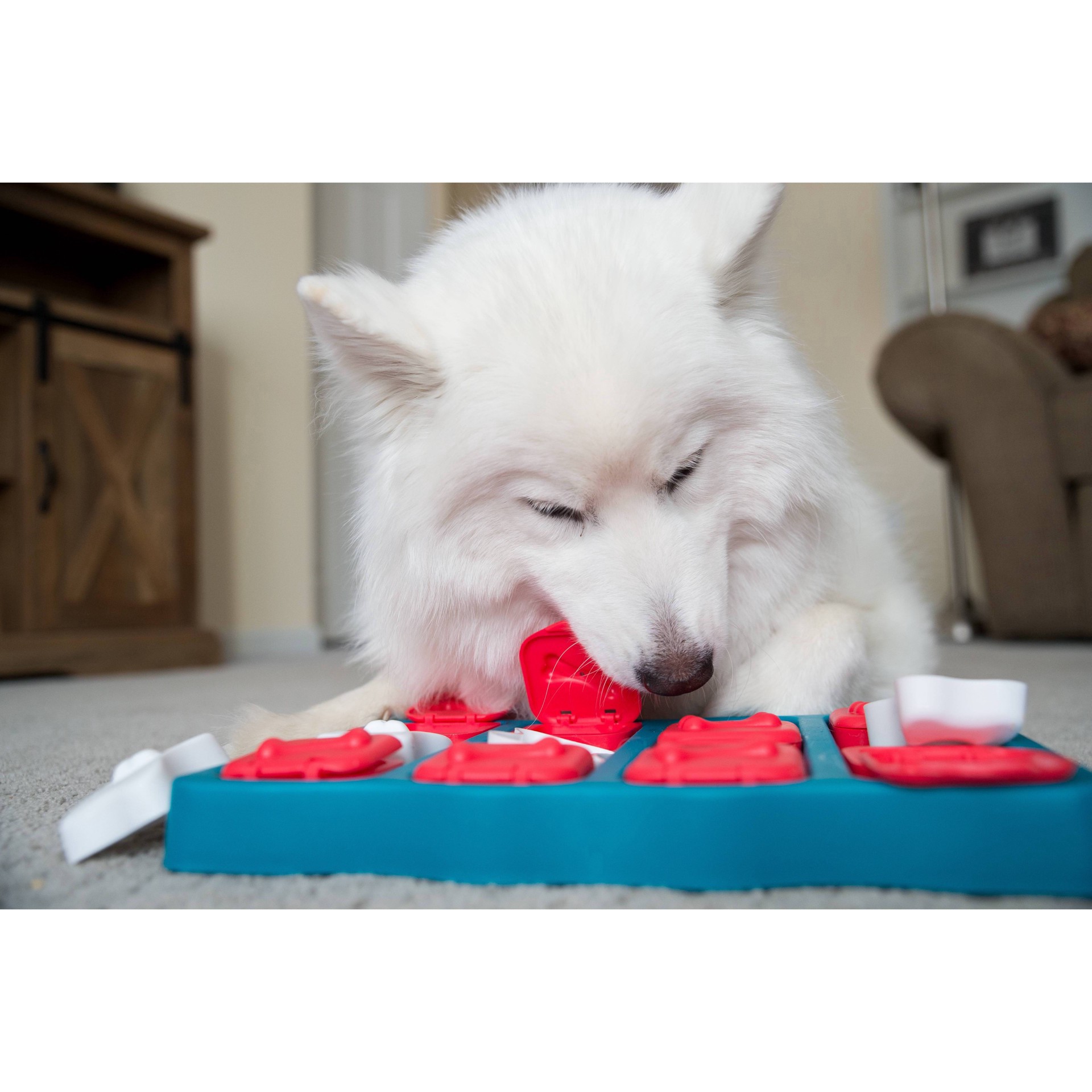 slide 6 of 7, Outward Hound Nina Ottosson Brick Interactive Puzzle Game Dog Toy, 1 ct