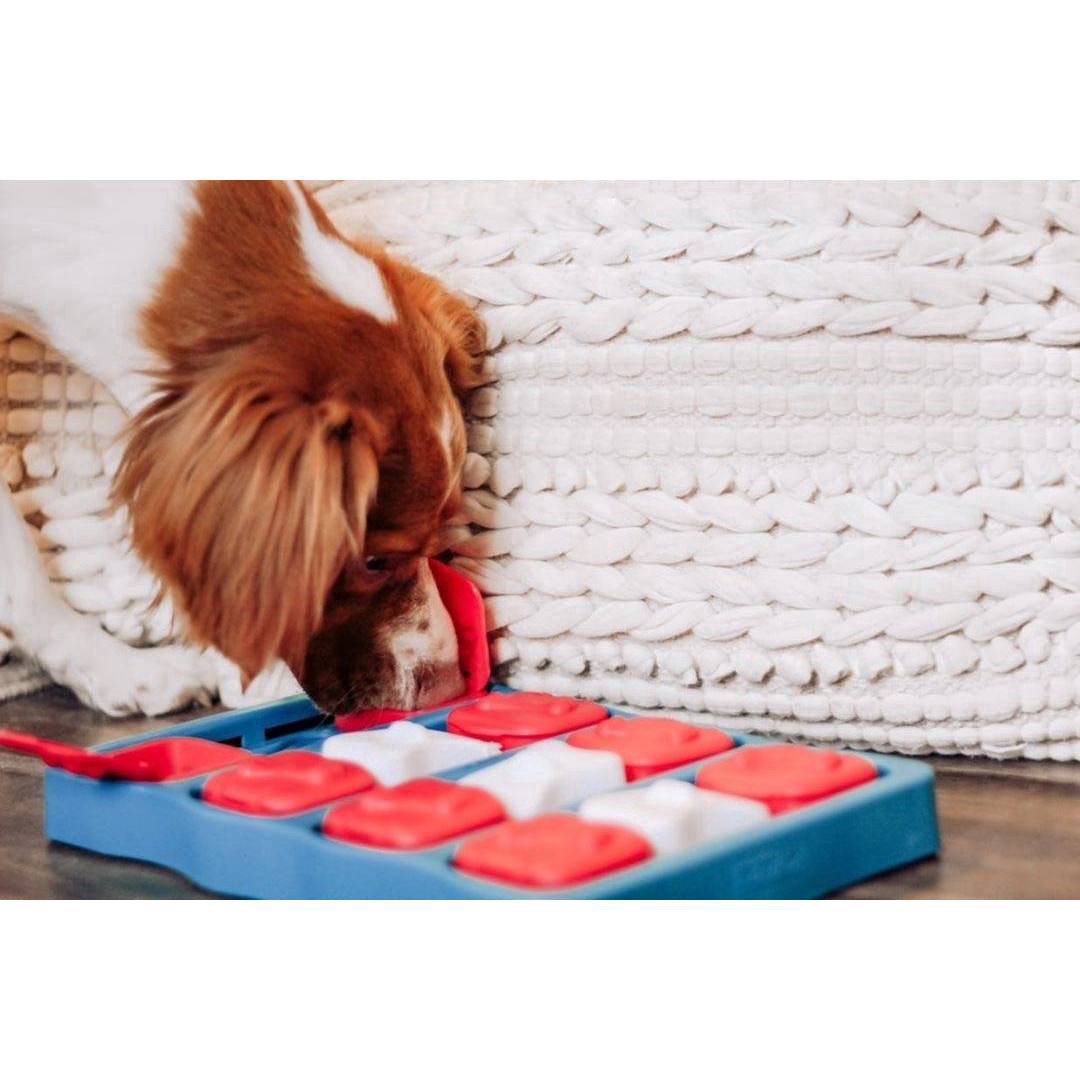 slide 4 of 7, Outward Hound Nina Ottosson Brick Interactive Puzzle Game Dog Toy, 1 ct