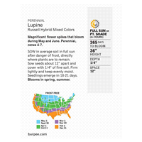 slide 3 of 5, Burpee Russell Hybrid Mixed Colors Lupine Seeds, 1 ct