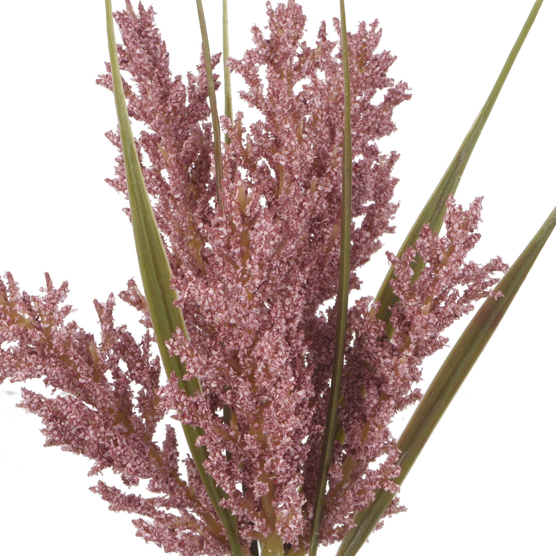 slide 2 of 2, 12" Mini Foxtail Bundle By Ashland, 12 in