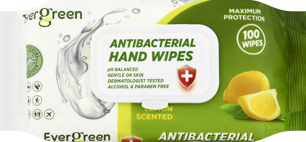 slide 2 of 11, Evergreen Antibacterial Lemon Scented Hand Wipes 100 ea, 100 ct