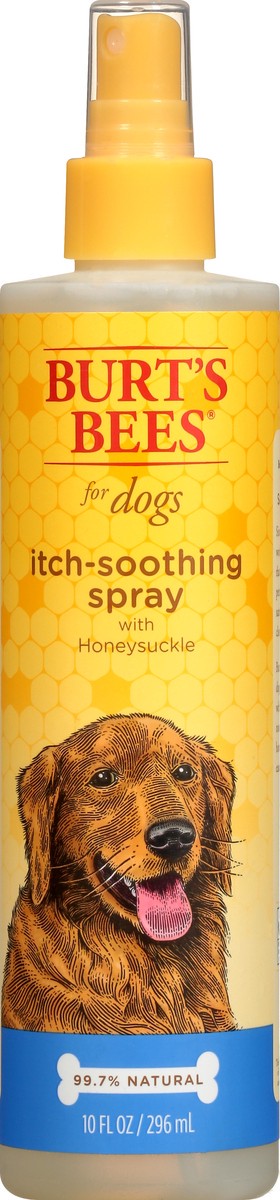 slide 5 of 11, Burt's Bees Burts Bees Soothing Dog Itch Spray Pump, 10 fl oz