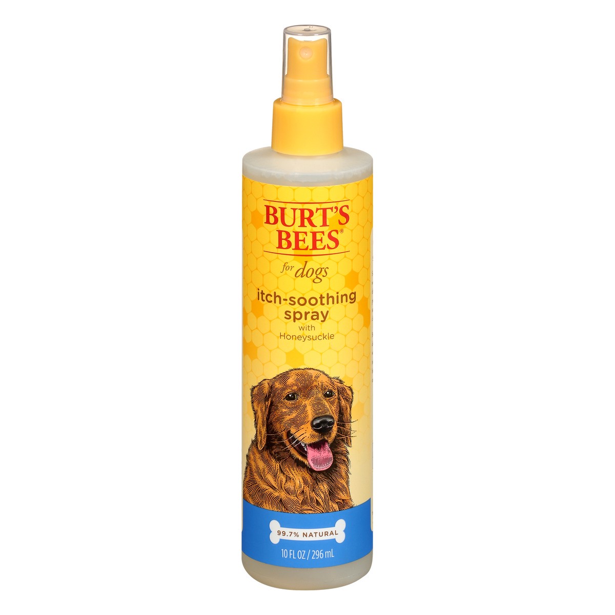 slide 1 of 11, Burt's Bees Burts Bees Soothing Dog Itch Spray Pump, 10 fl oz