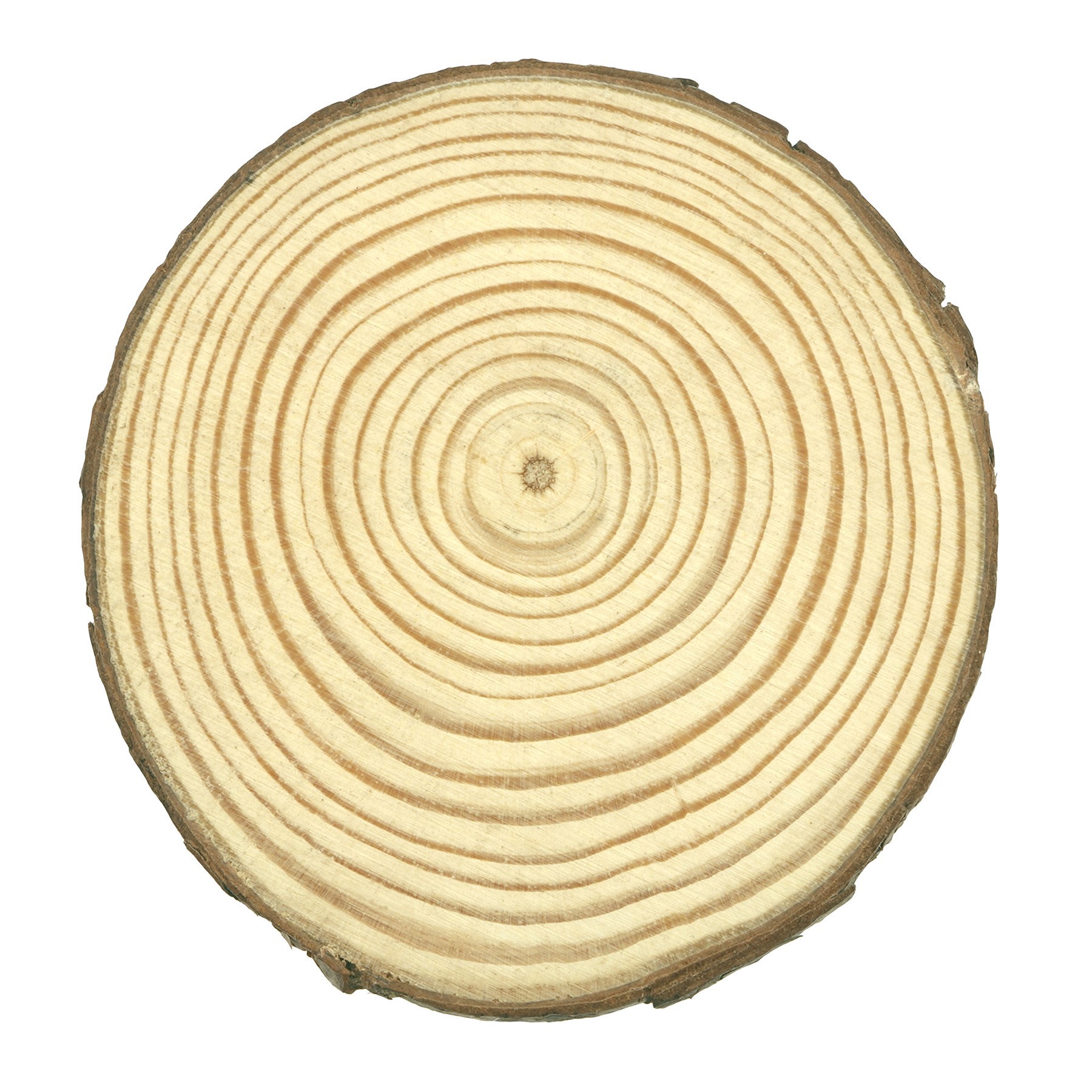 slide 3 of 3, 3.875" Pinewood Slice By Make Market, 3.875 in x 0.39 in