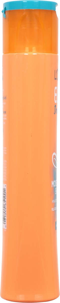 slide 2 of 9, L'Oréal Elvive Dream Lengths Curls Moisture Push Shampoo 12.6 fl oz, 12.6 fl oz