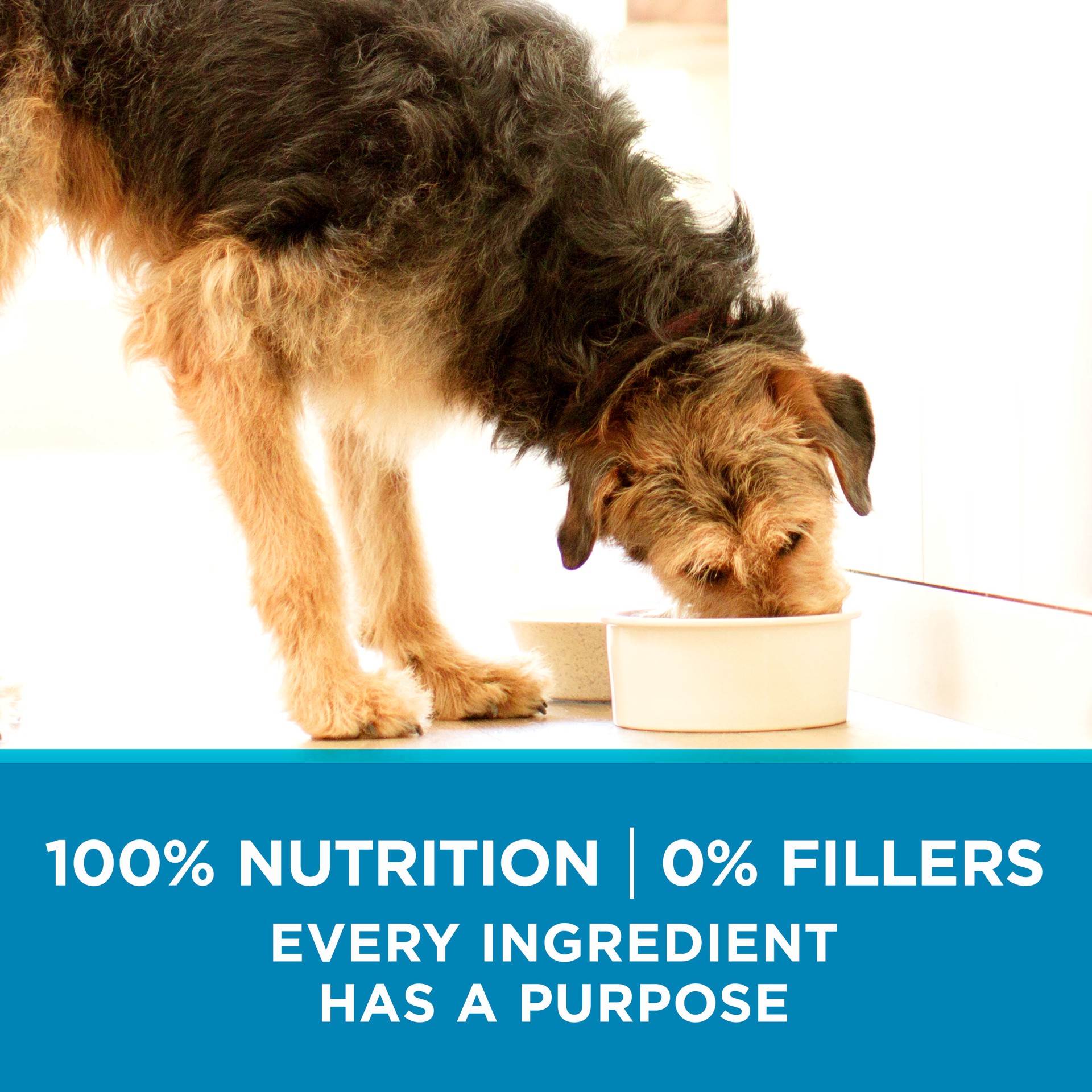 slide 2 of 8, ONE Purina ONE Plus Joint Health Formula Natural With Added Vitamins, Minerals and Nutrients Dry Dog Food, 16.5 lb