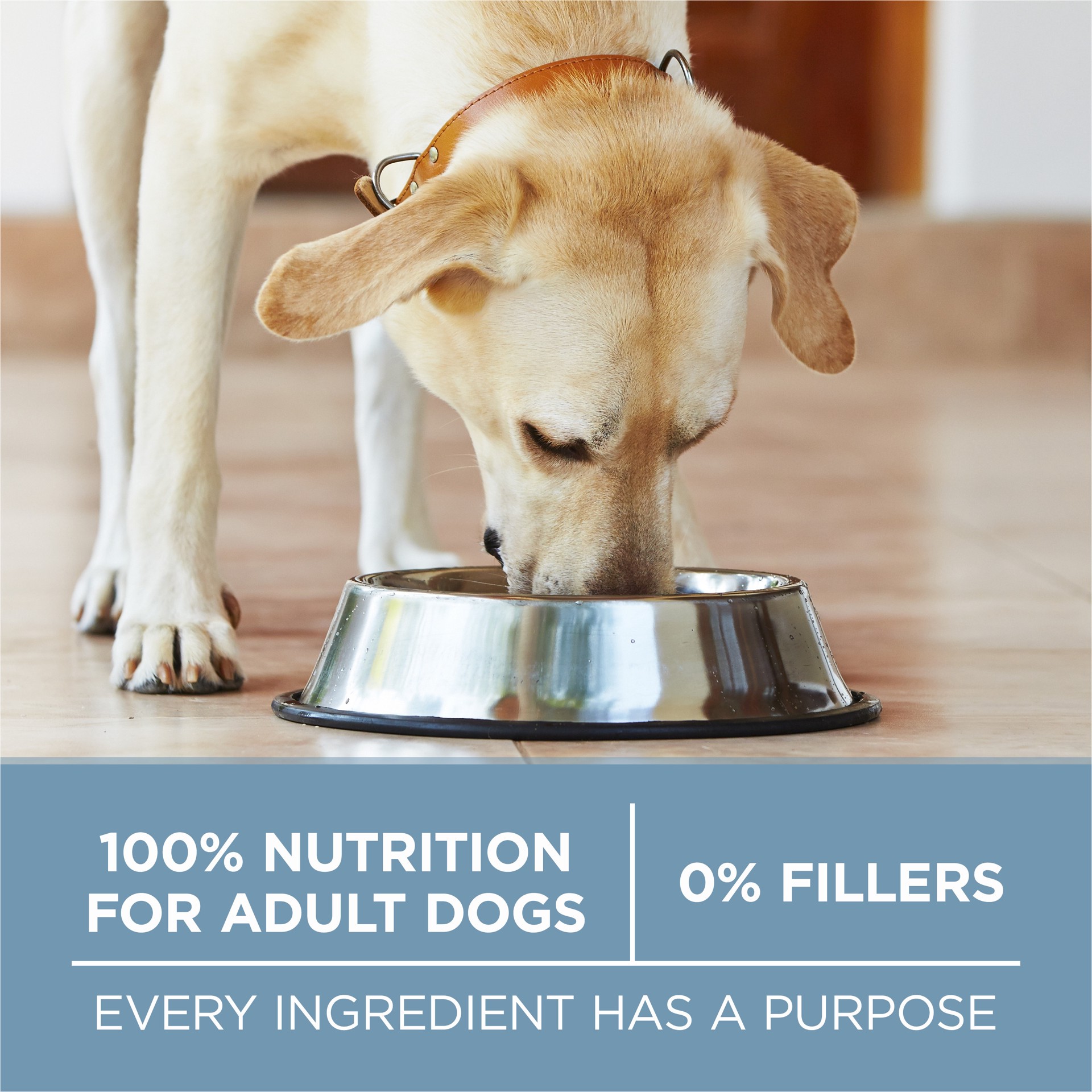 slide 7 of 8, ONE Purina ONE Plus Joint Health Formula Natural With Added Vitamins, Minerals and Nutrients Dry Dog Food, 16.5 lb