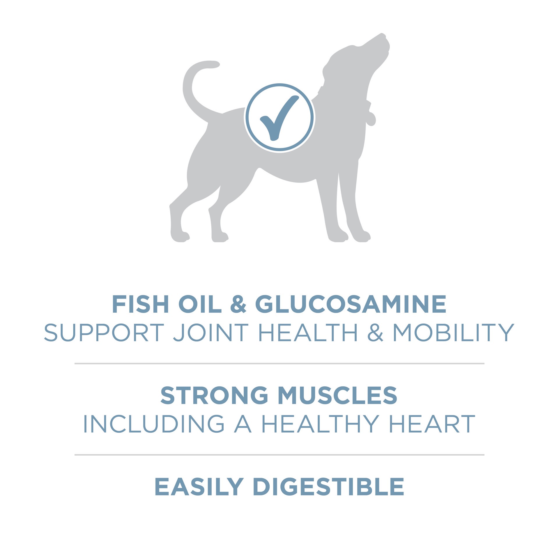 slide 5 of 8, ONE Purina ONE Plus Joint Health Formula Natural With Added Vitamins, Minerals and Nutrients Dry Dog Food, 16.5 lb