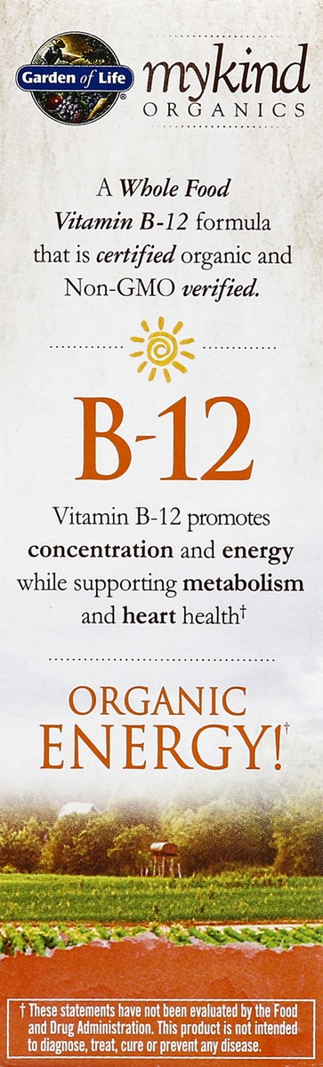 slide 2 of 5, Garden of Life My Kind Organics B12 Spray, 2 fl oz