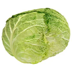 Cabbage Savoy