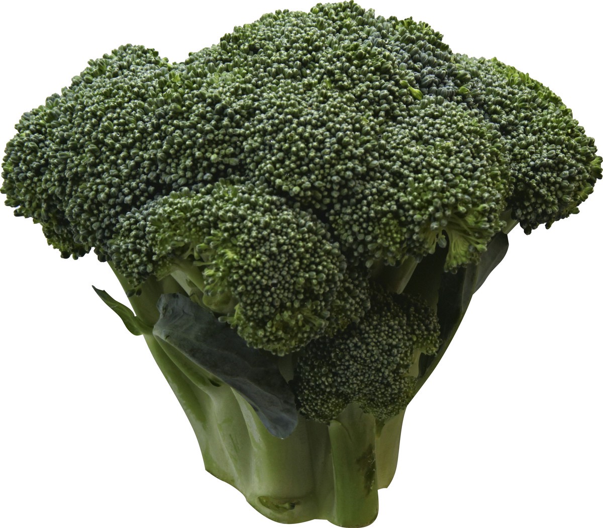 slide 1 of 3, Produce Broccoli 1 ea, 1 ct