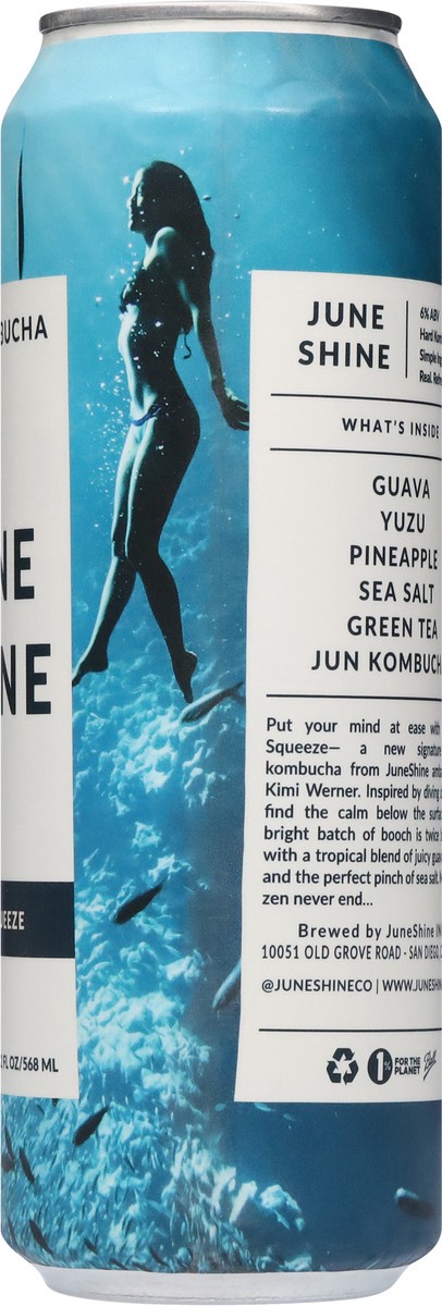slide 5 of 13, Juneshine Hard Kombucha Ocean Squeeze 19.2 Oz Can - 19.2 FZ, 19.20 fl oz