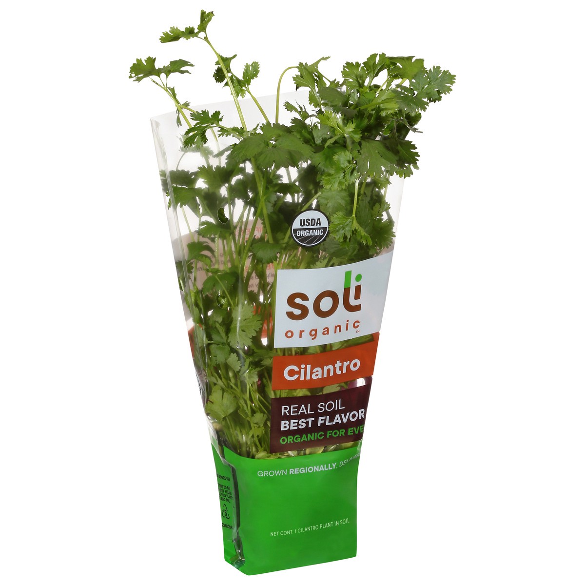 slide 4 of 10, Soli Organic Cilantro 1 ea, 1 ct