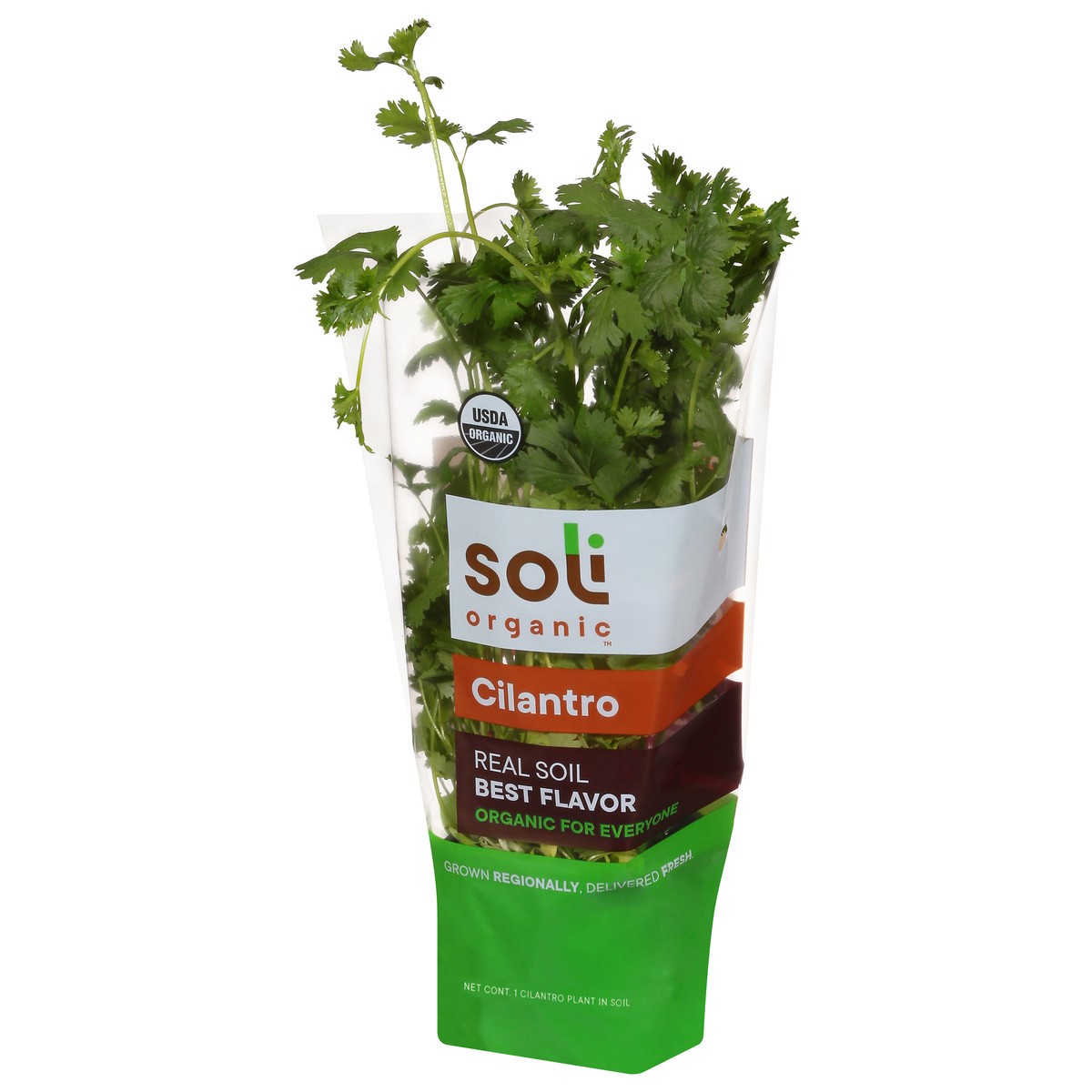 slide 8 of 10, Soli Organic Cilantro 1 ea, 1 ct
