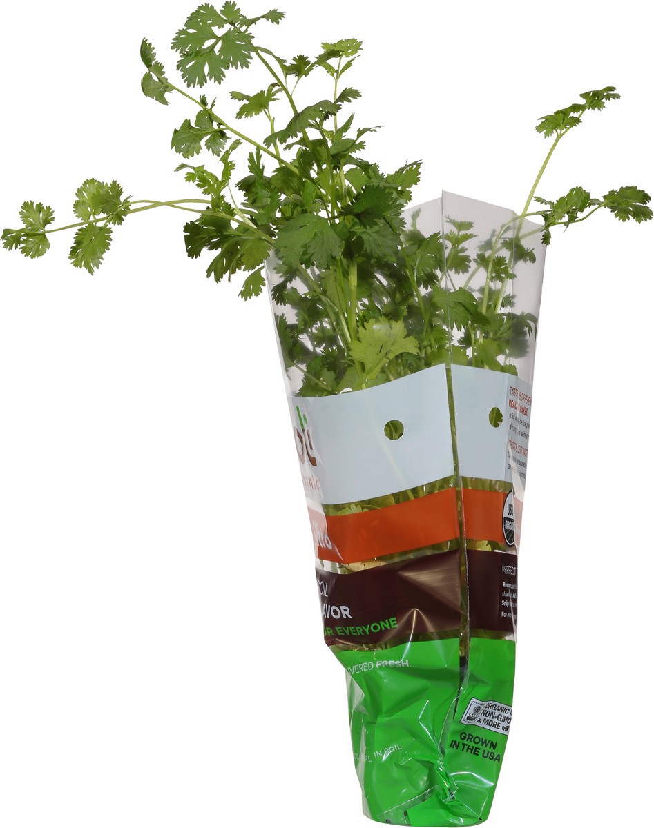 slide 3 of 10, Soli Organic Cilantro 1 ea, 1 ct