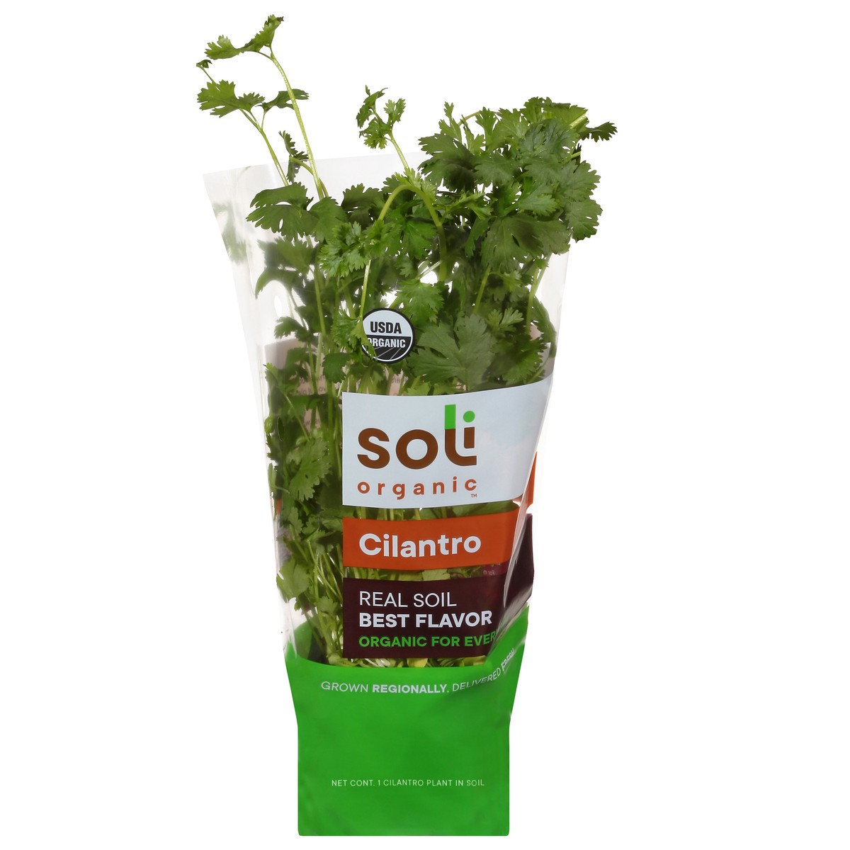 slide 1 of 10, Soli Organic Cilantro 1 ea, 1 ct