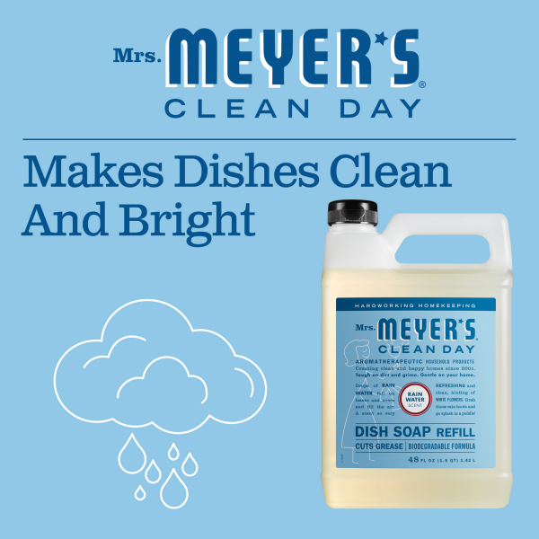 slide 22 of 29, Mrs. Meyer's Clean Day Liquid Dish Soap Refill, Rain Water Scent, 48 Fl Oz Bottle, 48 fl oz