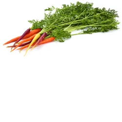 Organic Purple Carrots