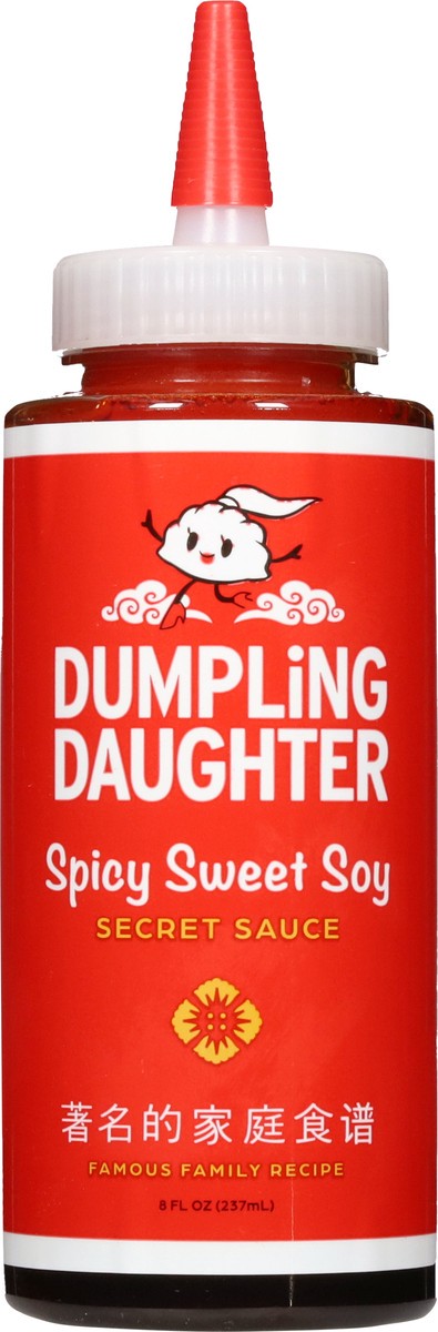 slide 10 of 14, Dumpling Daughter Spicy Sweet Soy Secret Sauce 8 fl oz, 8 fl oz