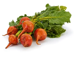 Beets Golden Baby