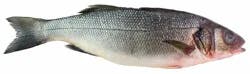 Fresh Whole Branzino