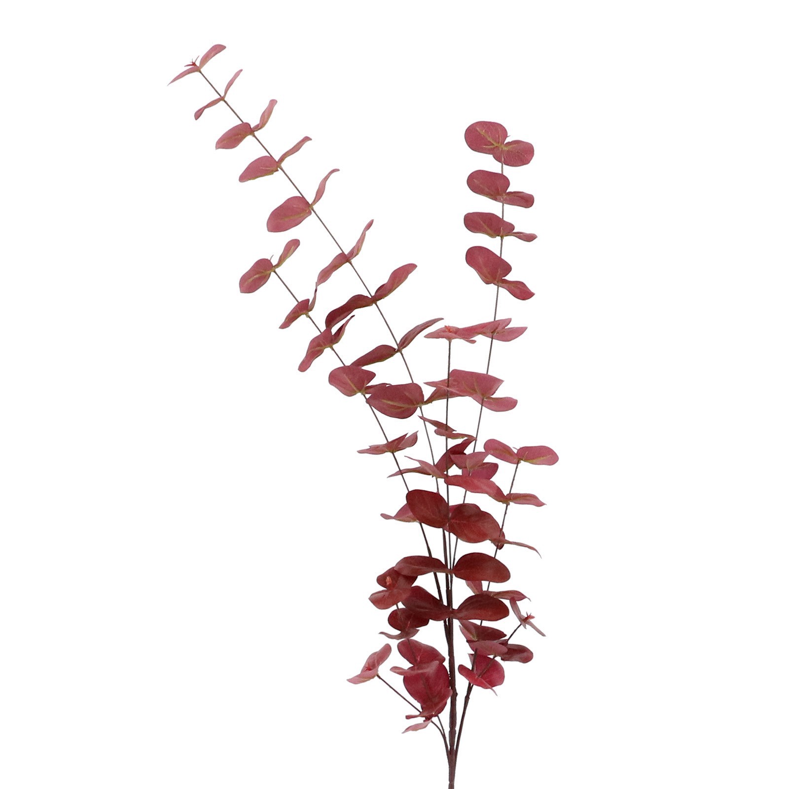 slide 2 of 2, Tall Burgundy Eucalyptus Stem By Ashland, 6 in x 7 in x 46 in
