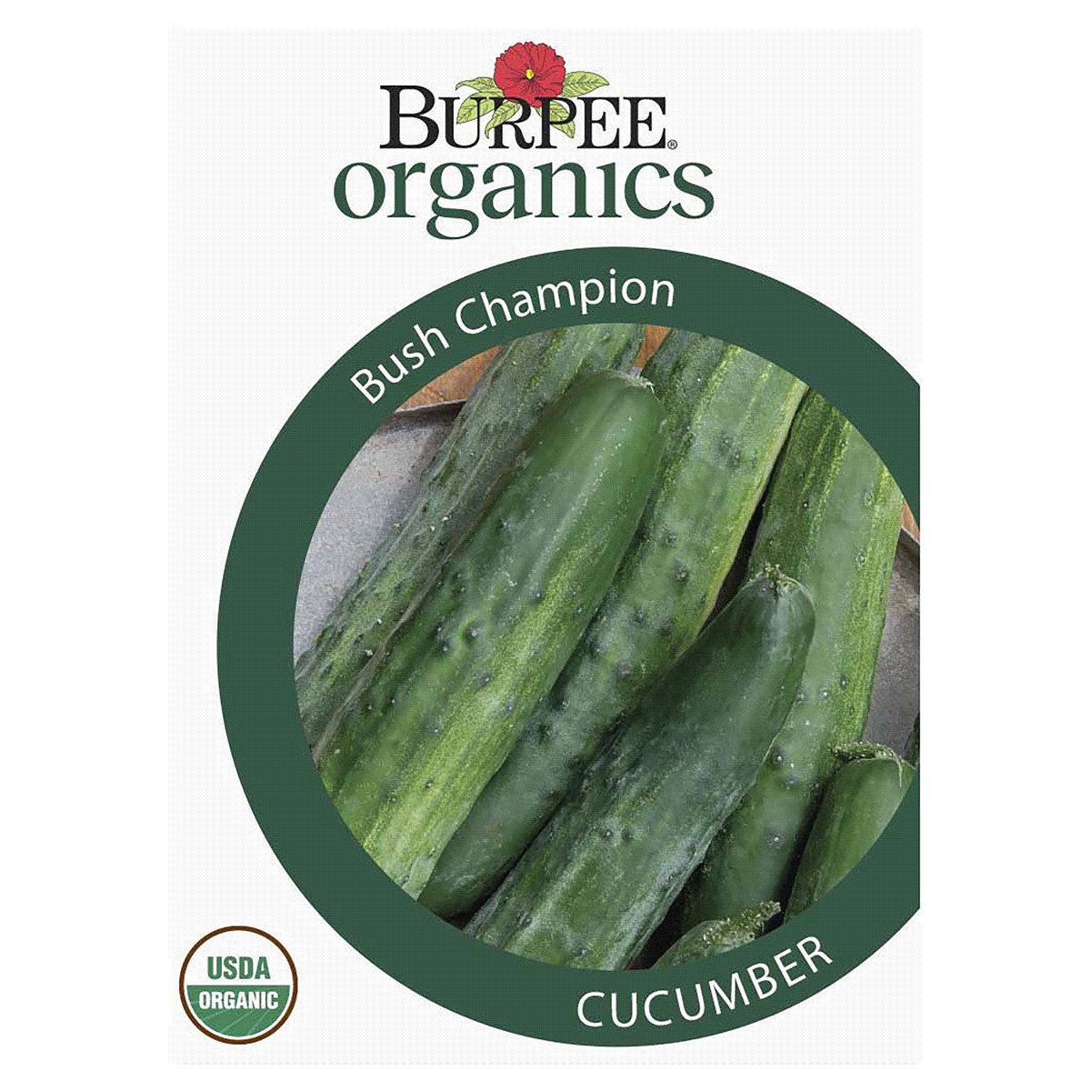 slide 1 of 5, Burpee Organic Cucumber Champion Seeds, 1 ct