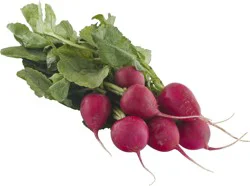 Melissa's Easter Egg Radishes