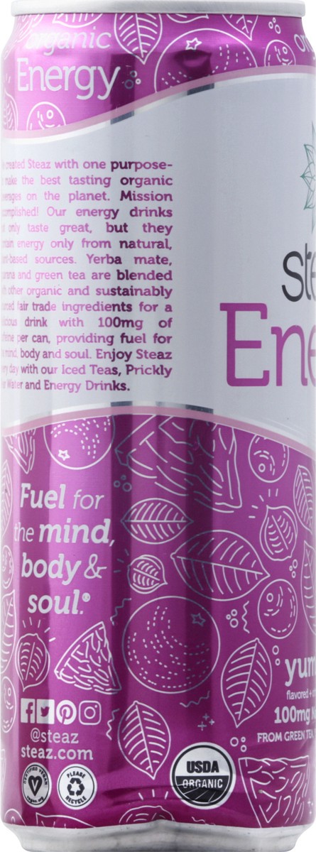 slide 7 of 10, Steaz Energy Tea - 12 oz, 12 oz