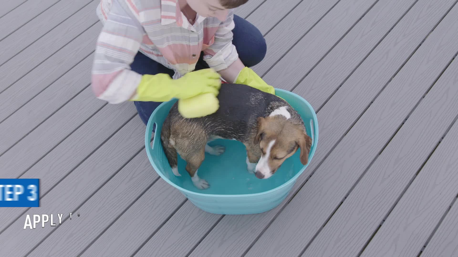 slide 6 of 10, Adams Plus Pyrethrin Dip Clear 4 fluid ounces, 1 ct