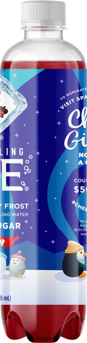 slide 6 of 7, Sparkling ICE Cranberry Frost, 17 Fl Oz Bottle, 17 fl oz