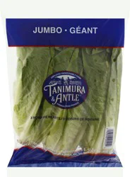 Tanimura & Antle Romaine Hearts
