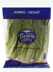 Tanimura & Antle Romaine Hearts