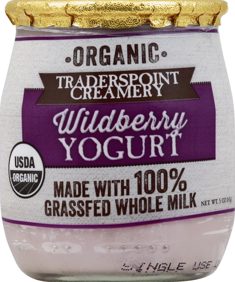 slide 2 of 3, Traders Point Creamery Yogurt 5 oz, 5 oz