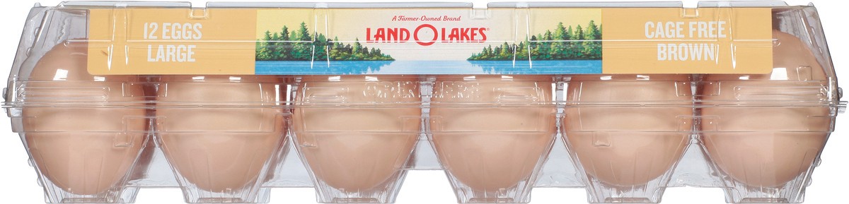 slide 2 of 13, Land O'Lakes Large Brown Cage Free Eggs 12 ea, 12 ct