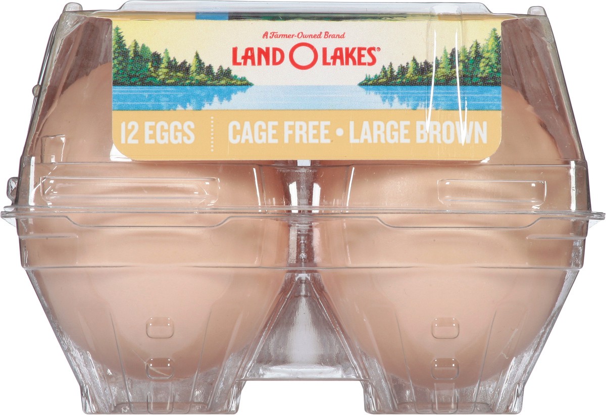 slide 3 of 13, Land O'Lakes Large Brown Cage Free Eggs 12 ea, 12 ct