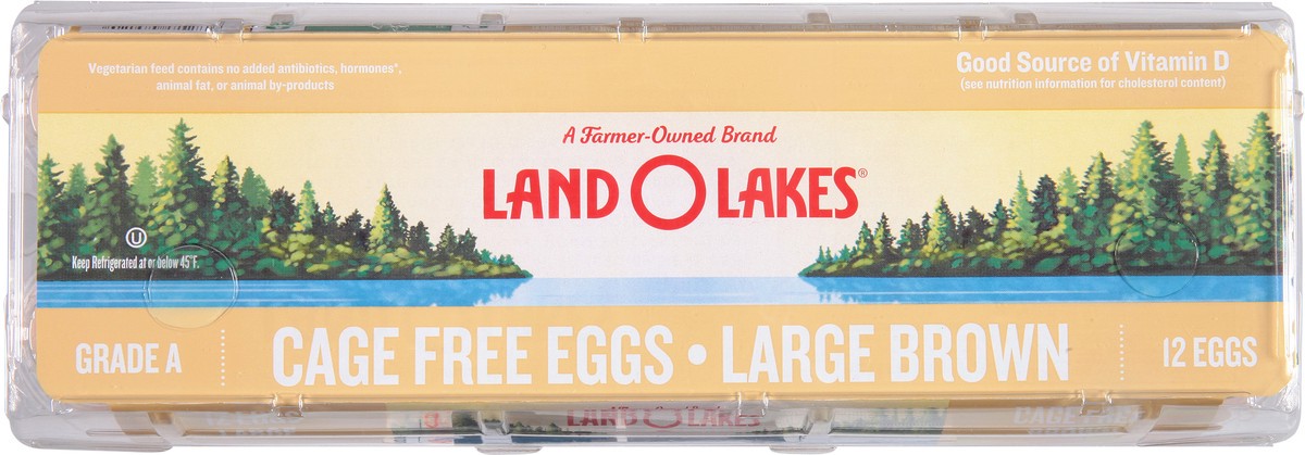 slide 4 of 13, Land O'Lakes Large Brown Cage Free Eggs 12 ea, 12 ct