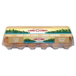 Land O'Lakes Large Brown Cage Free Eggs, 12 Count