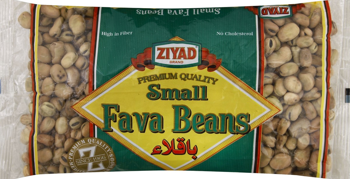 slide 1 of 6, Ziyad Fava Beans 16 oz, 16 oz