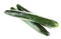 English Cucumber