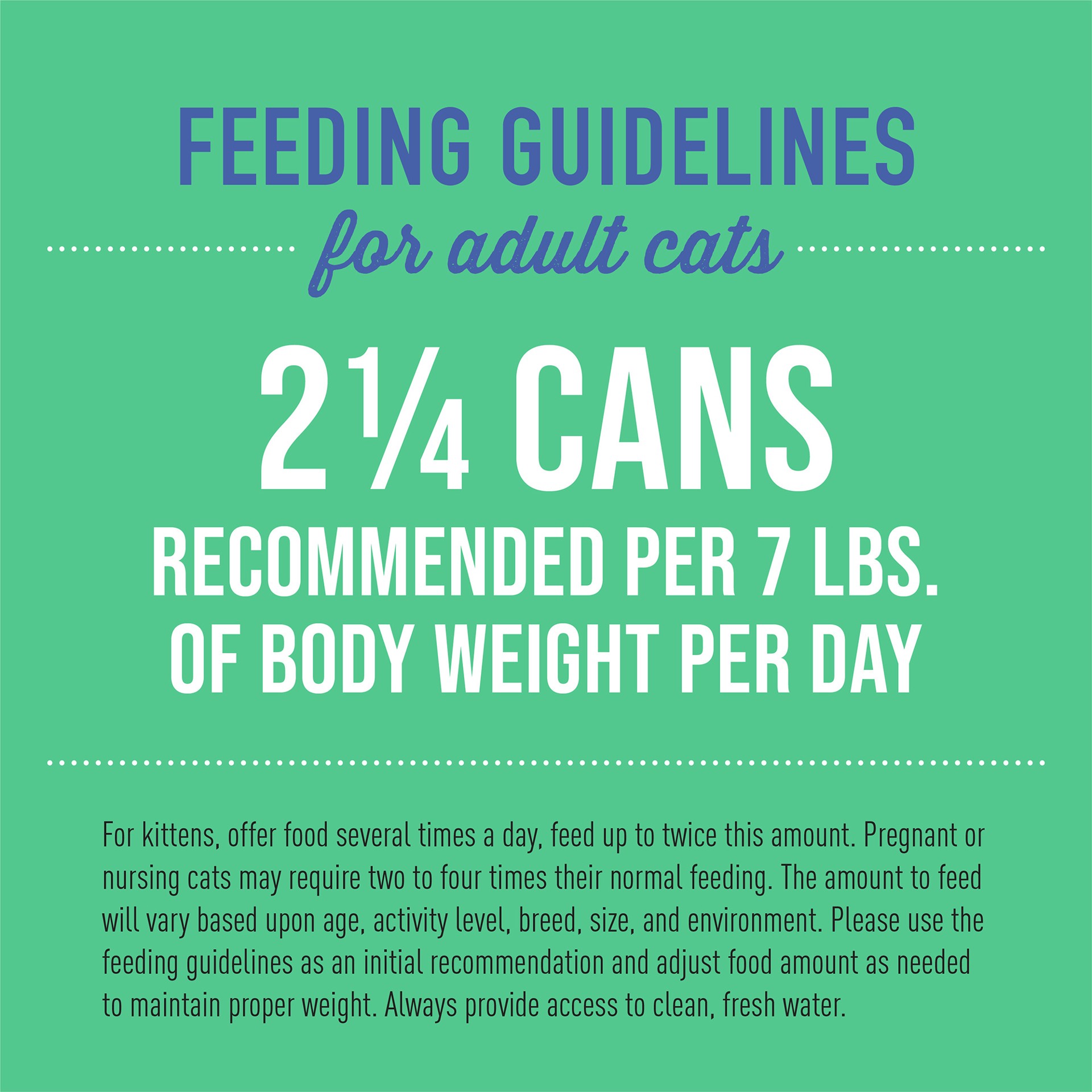 slide 3 of 6, Tiki Cat Seabass Pate, 1 ct